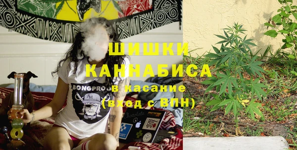 крисы Алзамай