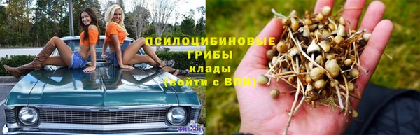 jwh Аркадак
