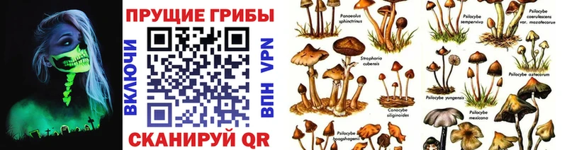цена наркотик  Баймак  блэк спрут онион  Галлюциногенные грибы мухоморы 