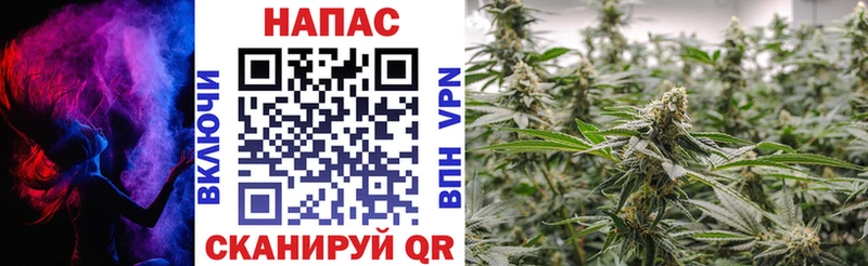 Бошки марихуана THC 21%  Баймак 